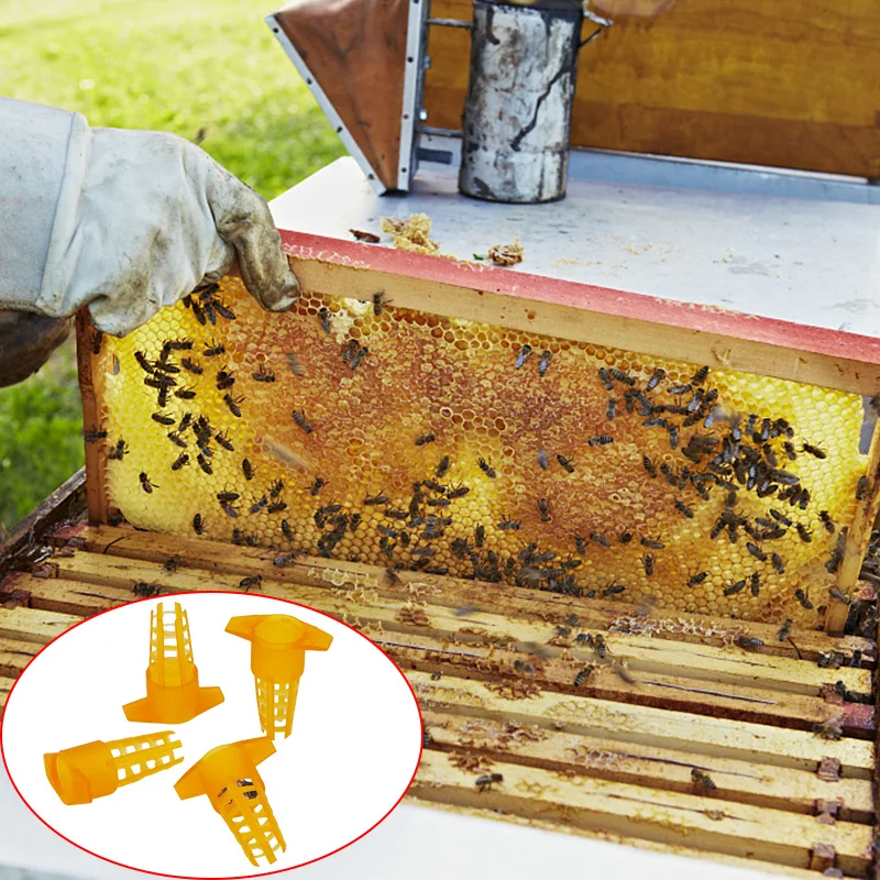 50шт Пластмасова Клетка на Пчелния на Матката Защитно покритие Клетки са клетките на Протектора Предпазва от Ухапване от Клетка на Пчелните Инструменти, Обзавеждане За Пчеларството Изображение 5